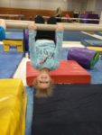 Naydenov Gymnastics Field Trip 2019